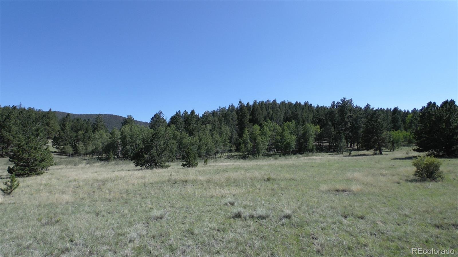 312 Copeland Road Guffey, CO 80820 - Photo 2 of 34