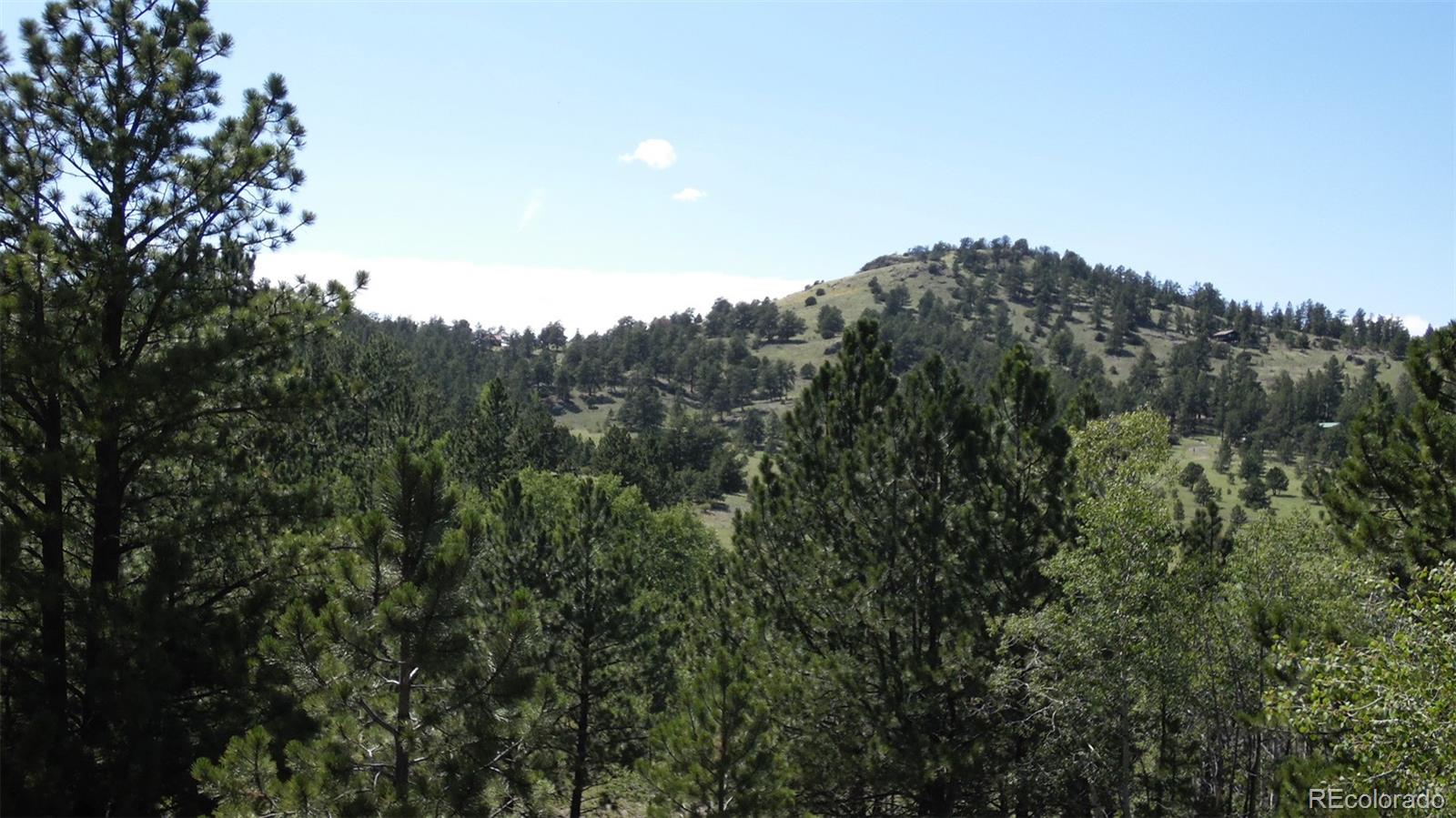 312 Copeland Road Guffey, CO 80820 - Photo 22 of 34