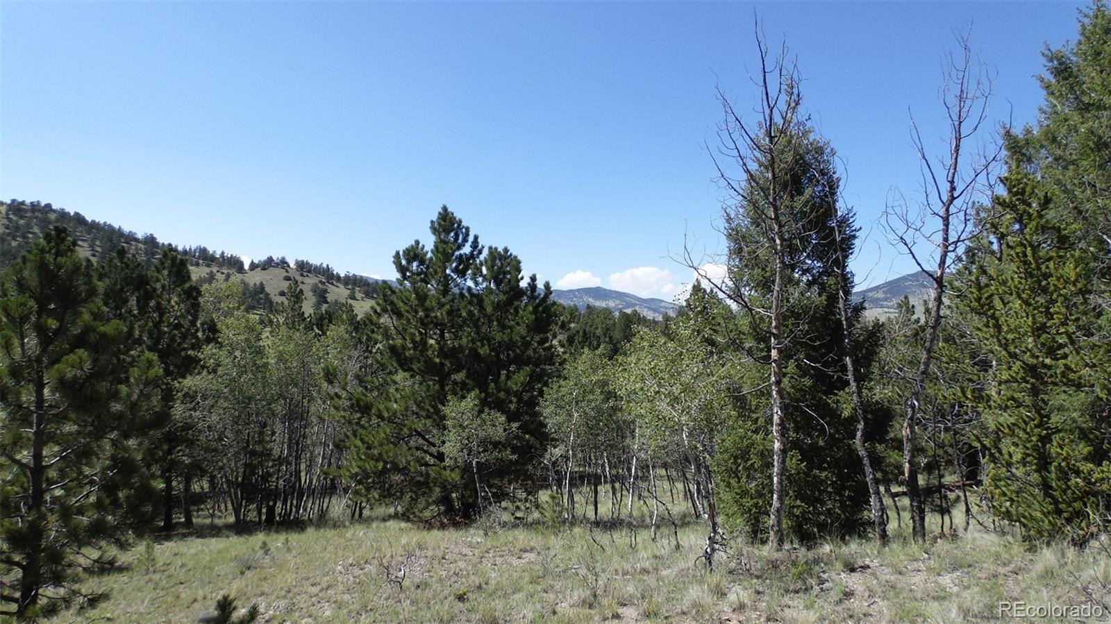 312 Copeland Road Guffey, CO 80820 - Photo 23 of 34