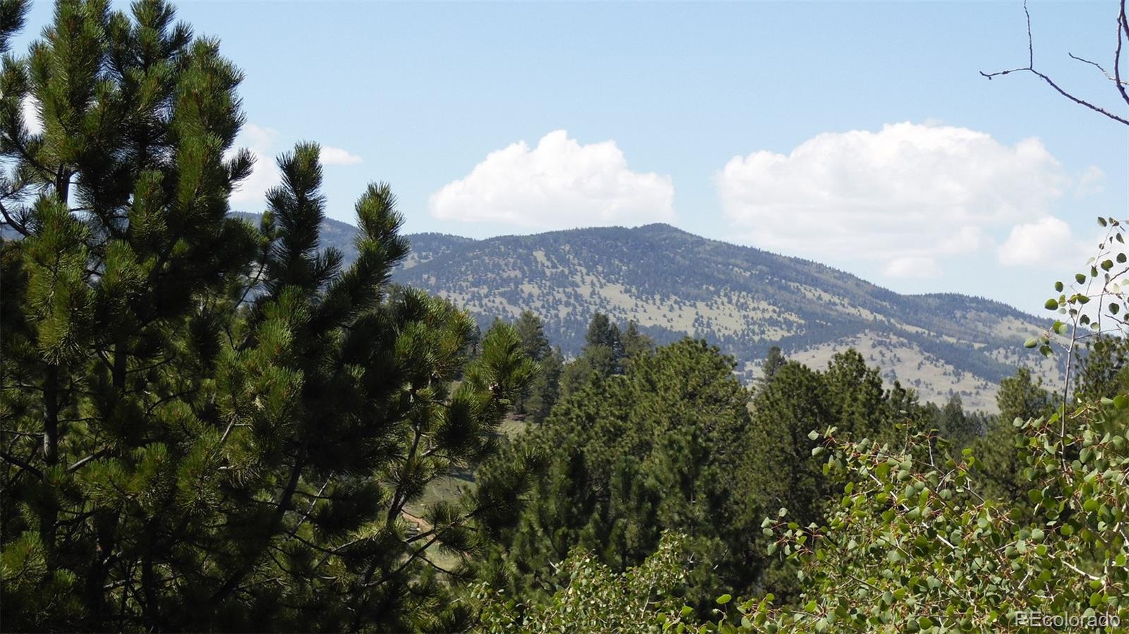 312 Copeland Road Guffey, CO 80820 - Photo 24 of 34