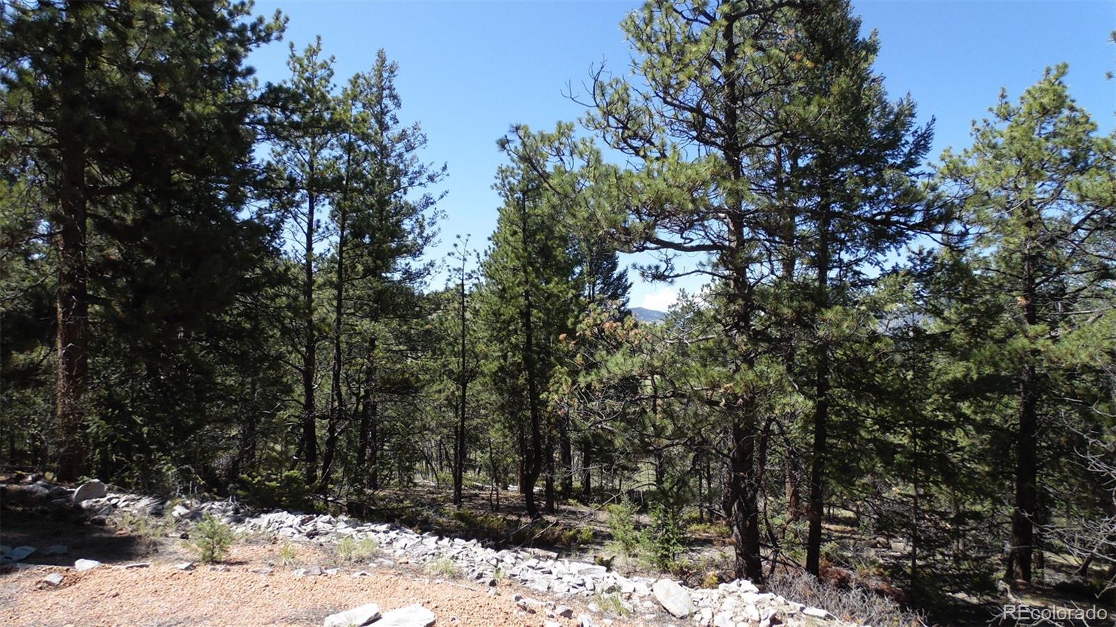 312 Copeland Road Guffey, CO 80820 - Photo 25 of 34
