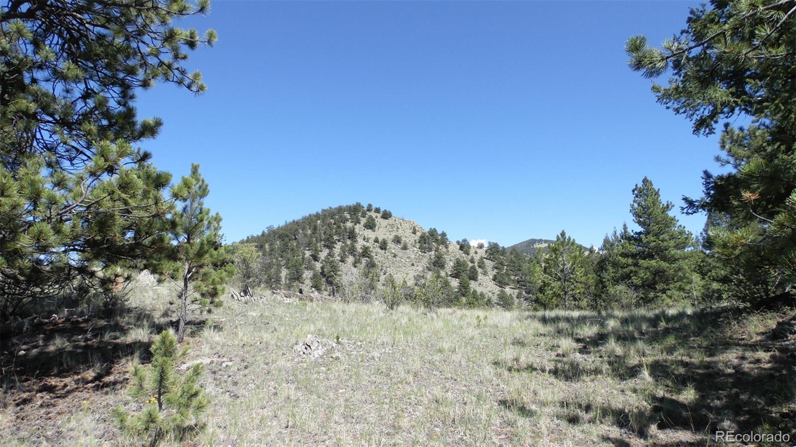 312 Copeland Road Guffey, CO 80820 - Photo 27 of 34