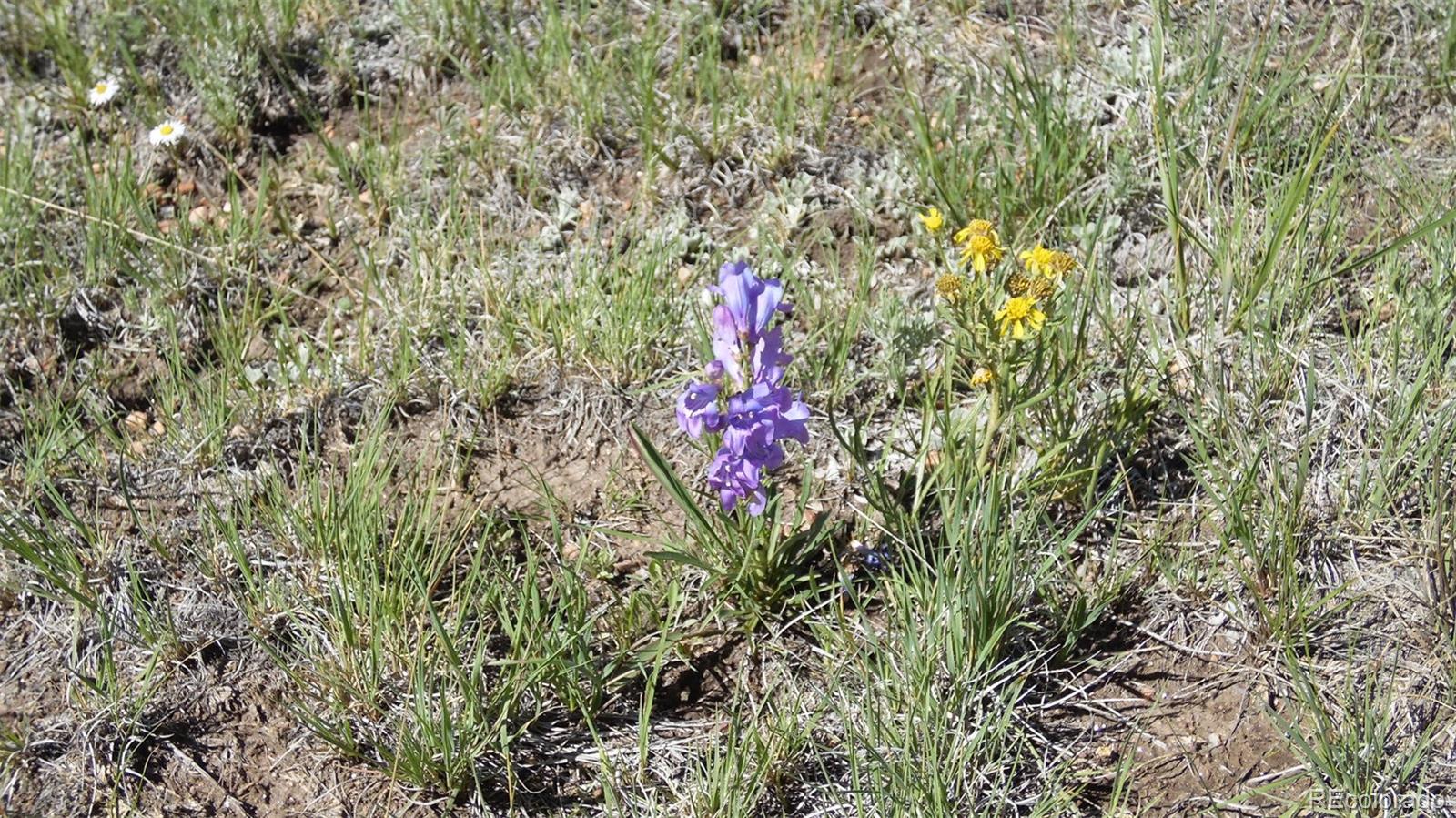 312 Copeland Road Guffey, CO 80820 - Photo 28 of 34