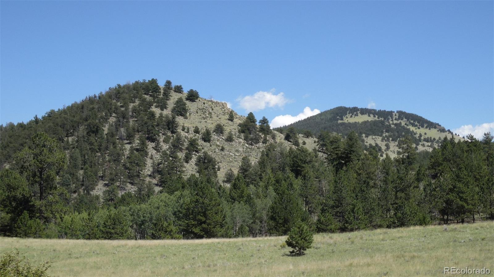 312 Copeland Road Guffey, CO 80820 - Photo 3 of 34