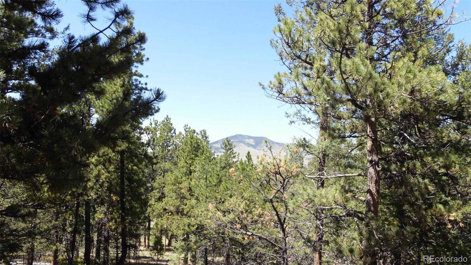312 Copeland Road Guffey, CO 80820 - Photo 33 of 34