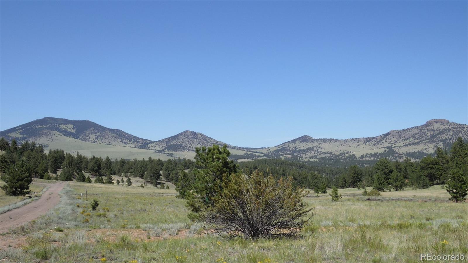 312 Copeland Road Guffey, CO 80820 - Photo 4 of 34