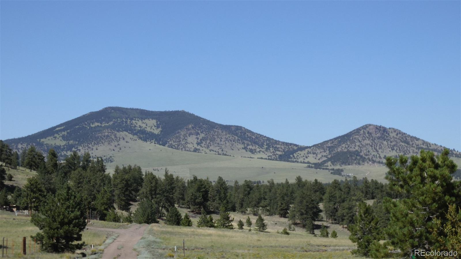 312 Copeland Road Guffey, CO 80820 - Photo 5 of 34
