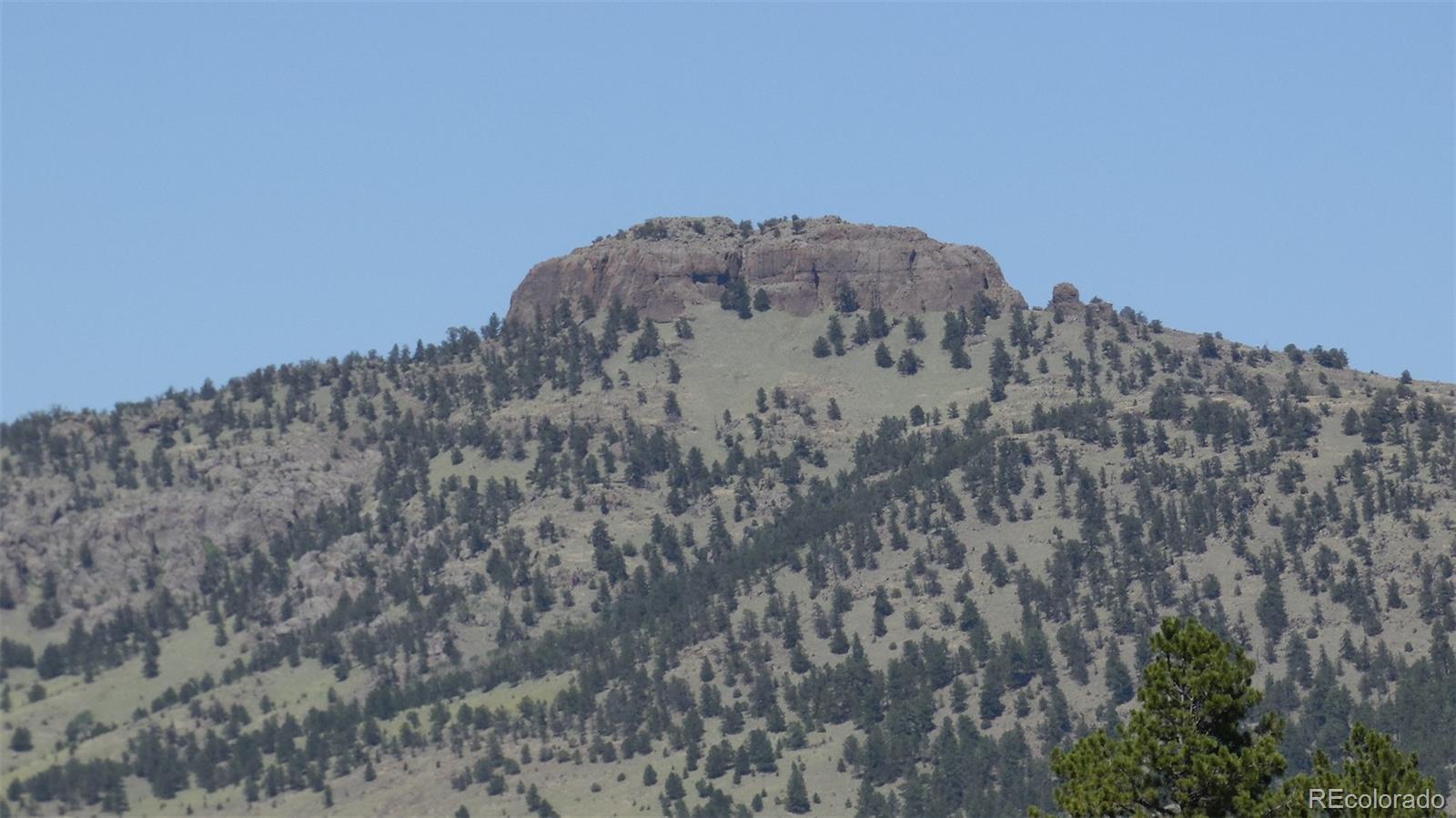 312 Copeland Road Guffey, CO 80820 - Photo 7 of 34