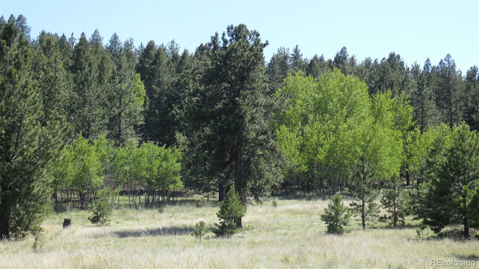 312 Copeland Road Guffey, CO 80820 - Photo 8 of 34