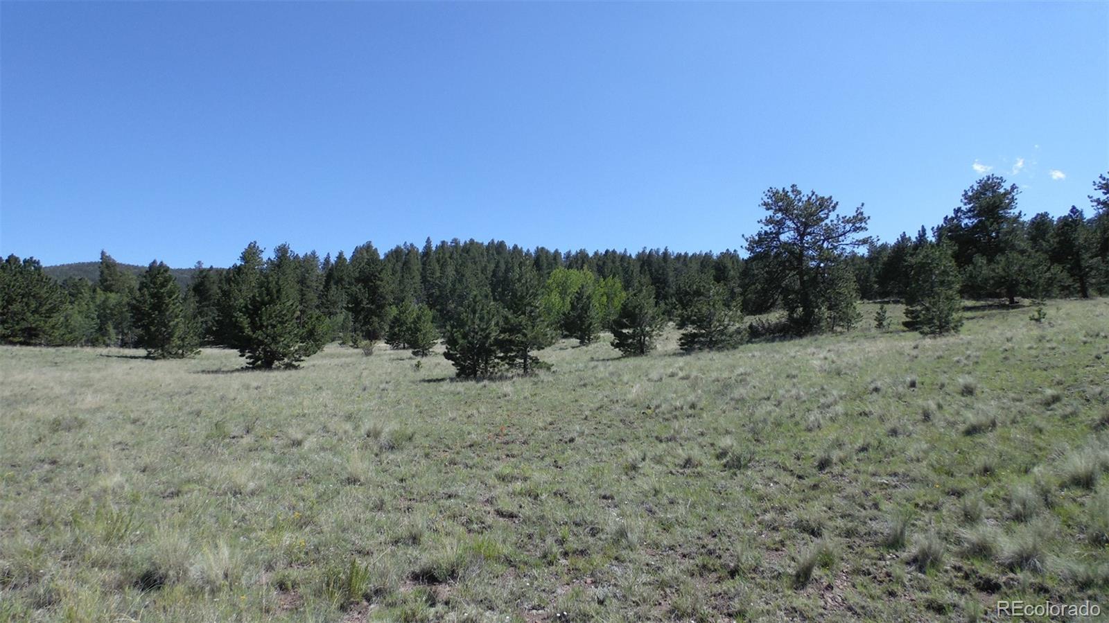 312 Copeland Road Guffey, CO 80820 - Photo 9 of 34