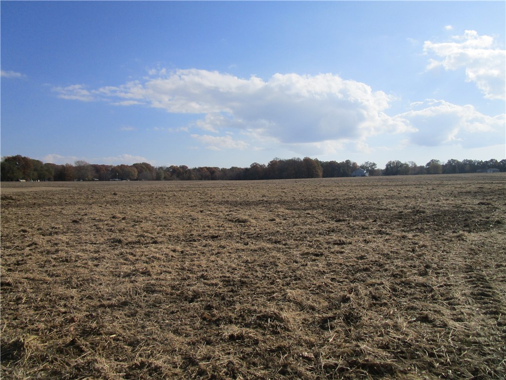 2625 East 230th Road Pana, IL 62557 - Photo 2 of 3