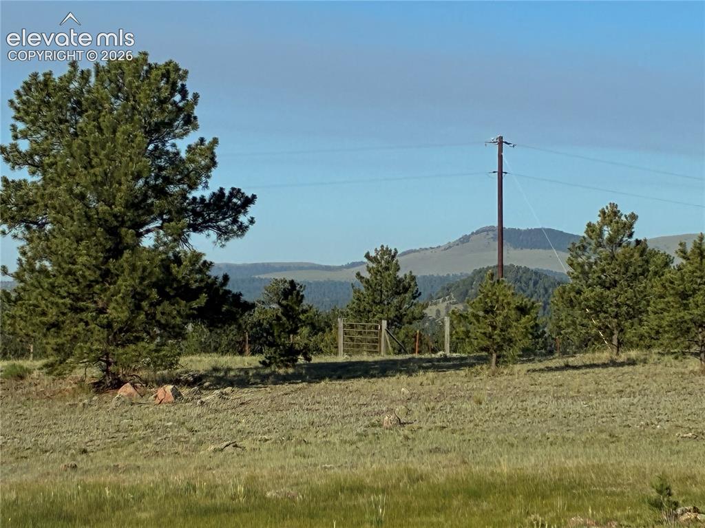 Tbd Doe Valley Road Guffey, CO 80820 - Photo 15 of 19 This land is ready. Current grazing lease lowers property taxes substantially.