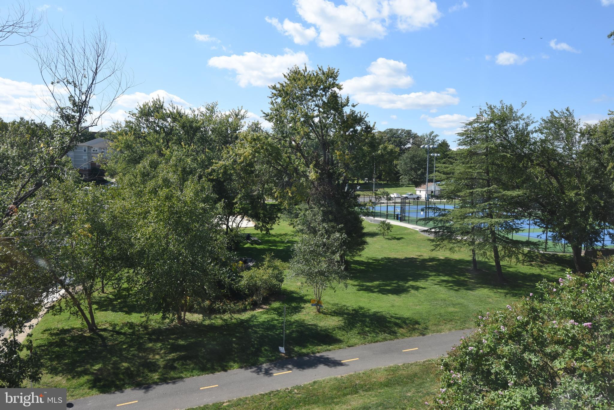 901 South Rolfe Street, Unit 2 Arlington, VA 22204 - Photo 15 of 33 View of Park From Owner's Suite