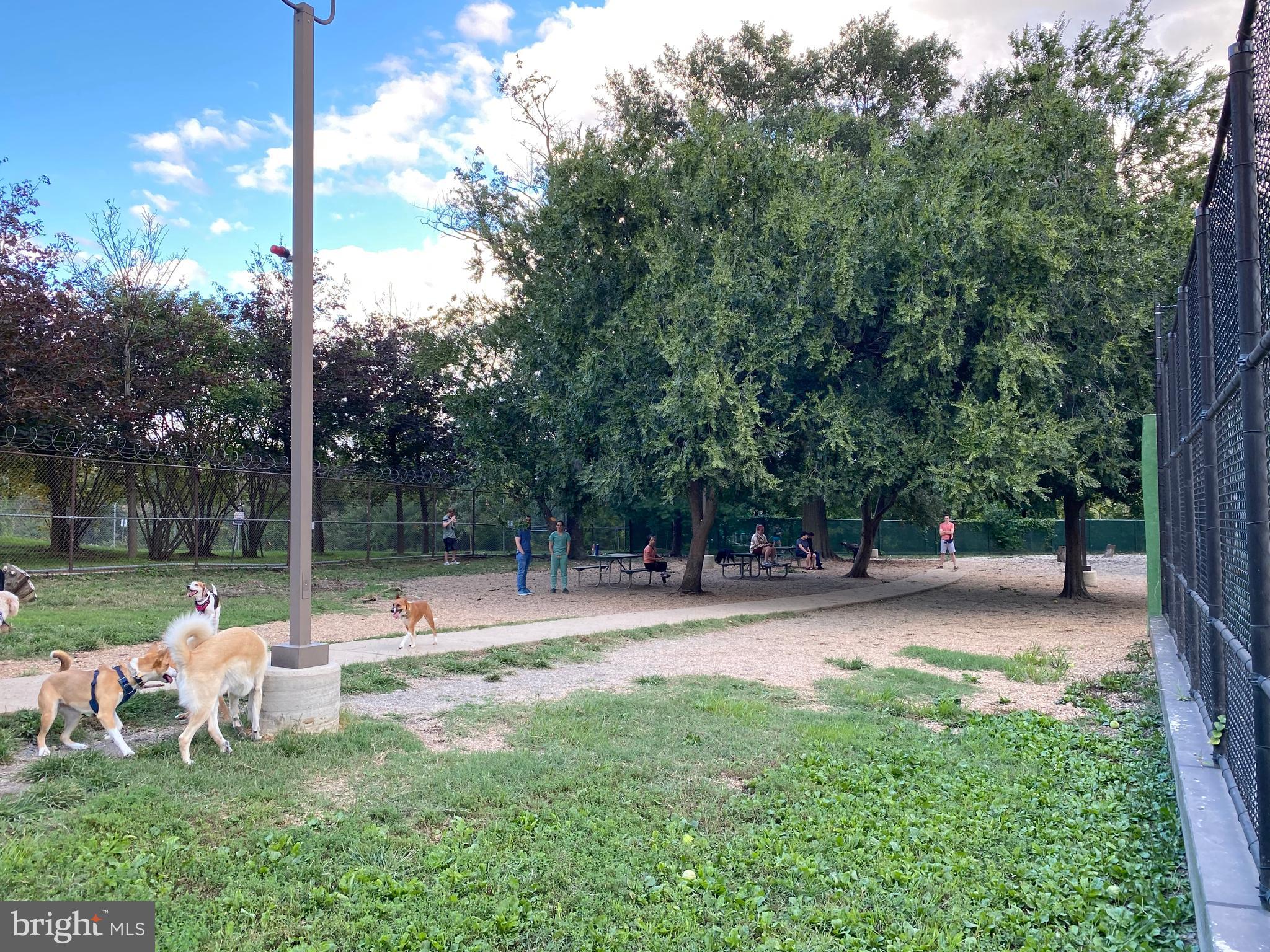 901 South Rolfe Street, Unit 2 Arlington, VA 22204 - Photo 28 of 33 Dog Park