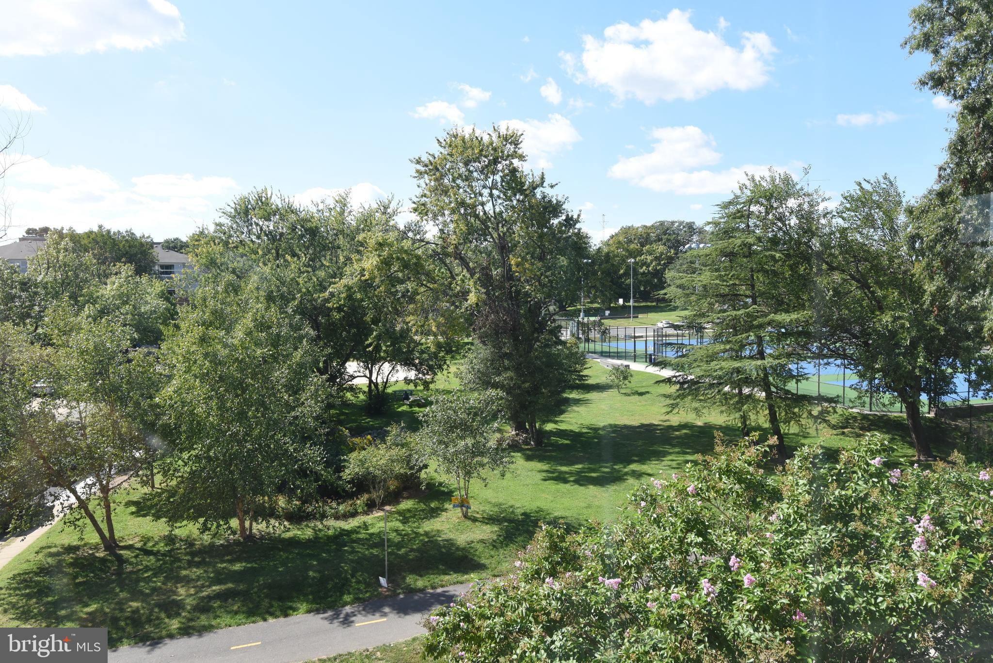 901 South Rolfe Street, Unit 2 Arlington, VA 22204 - Photo 5 of 33 View of Park From Living Room