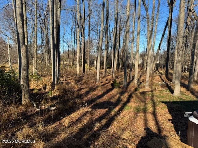 17 Emma Place Eatontown, NJ 07724 - Photo 16 of 19 image7 (1)