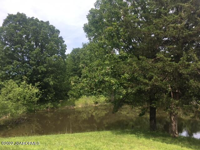 4533 State Rd Jj Fulton, MO 65251 - Photo 28 of 60
