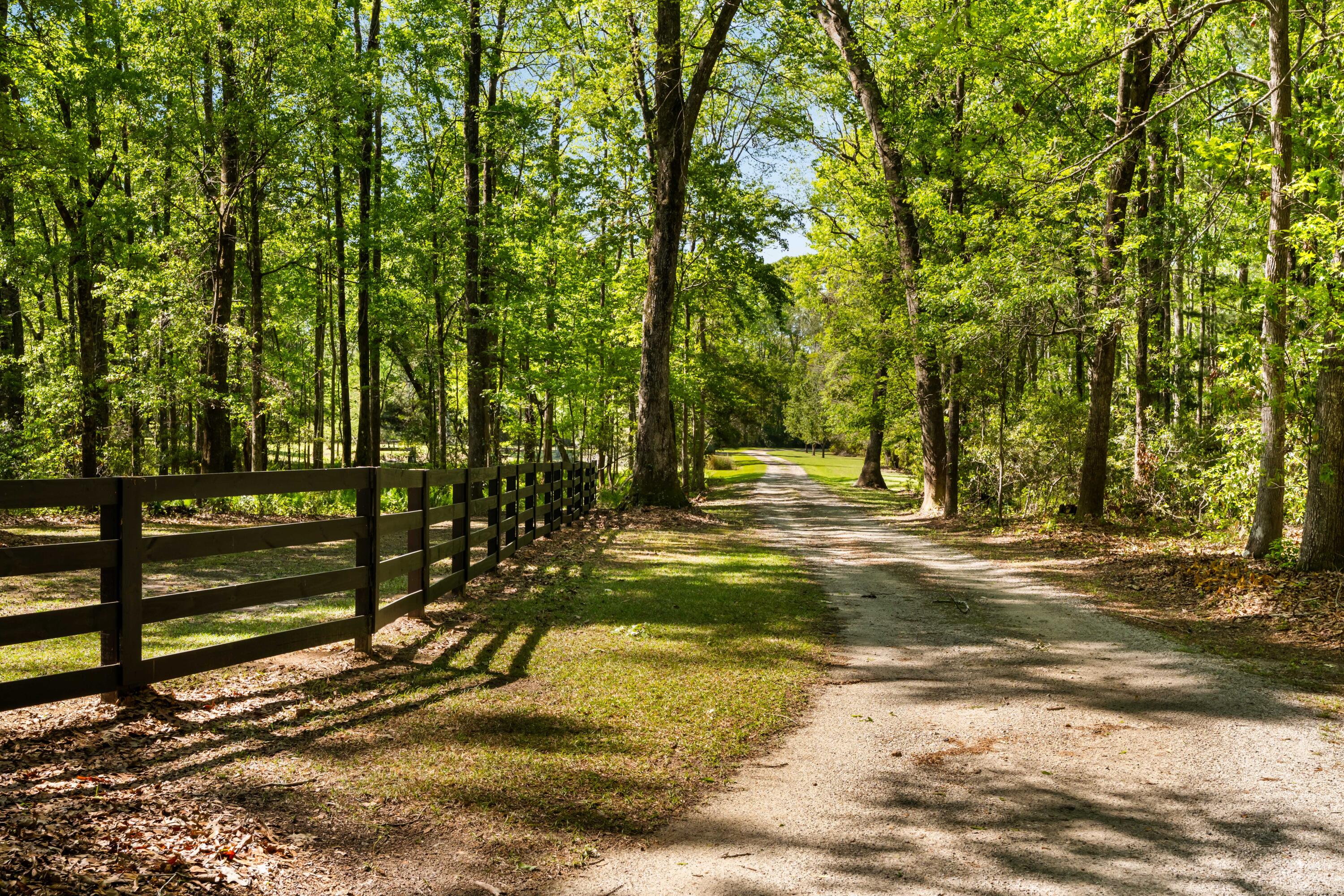 5680 Dixie Plantation Road Hollywood, SC 29449 - Photo 9 of 72 Peaceful entry