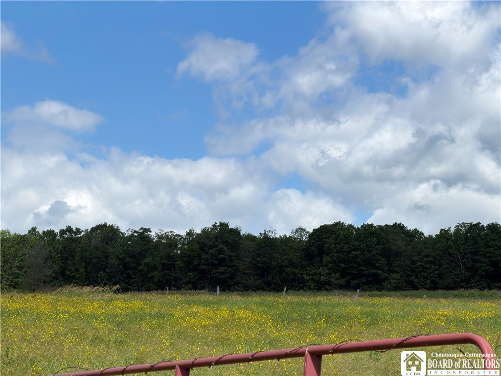 3801 Sprague Hill Road, Unit 3800 Falconer, NY 14733 - Photo 19 of 28