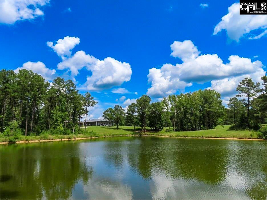 529 Martin Road Winnsboro, SC 29180 - Photo 33 of 83 Gallery Image 33