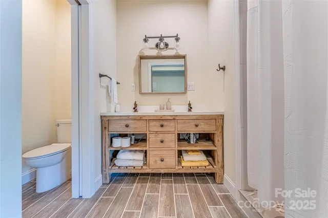 a bathroom with a sink and a toilet
