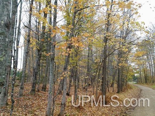 Tbd Whitefish Road Chatham, MI 49816 - Photo 29 of 30