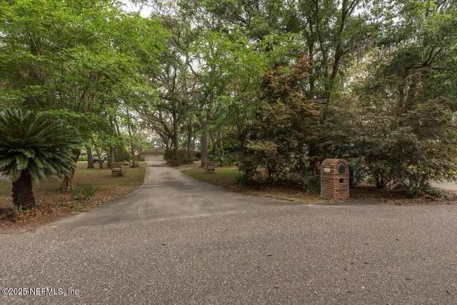 a body of water with a tree in the background