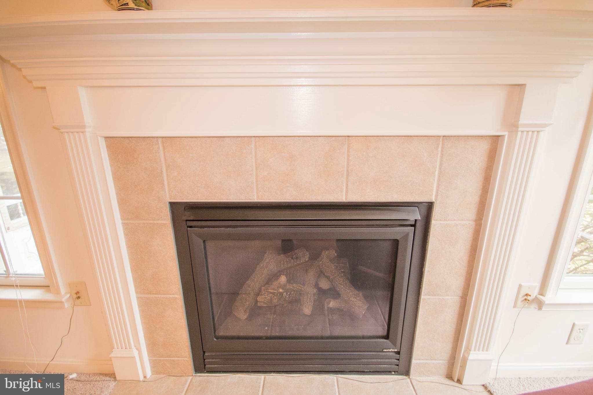 6087 Tarry Town Road Salisbury, MD 21801 - Photo 23 of 56 Fireplace