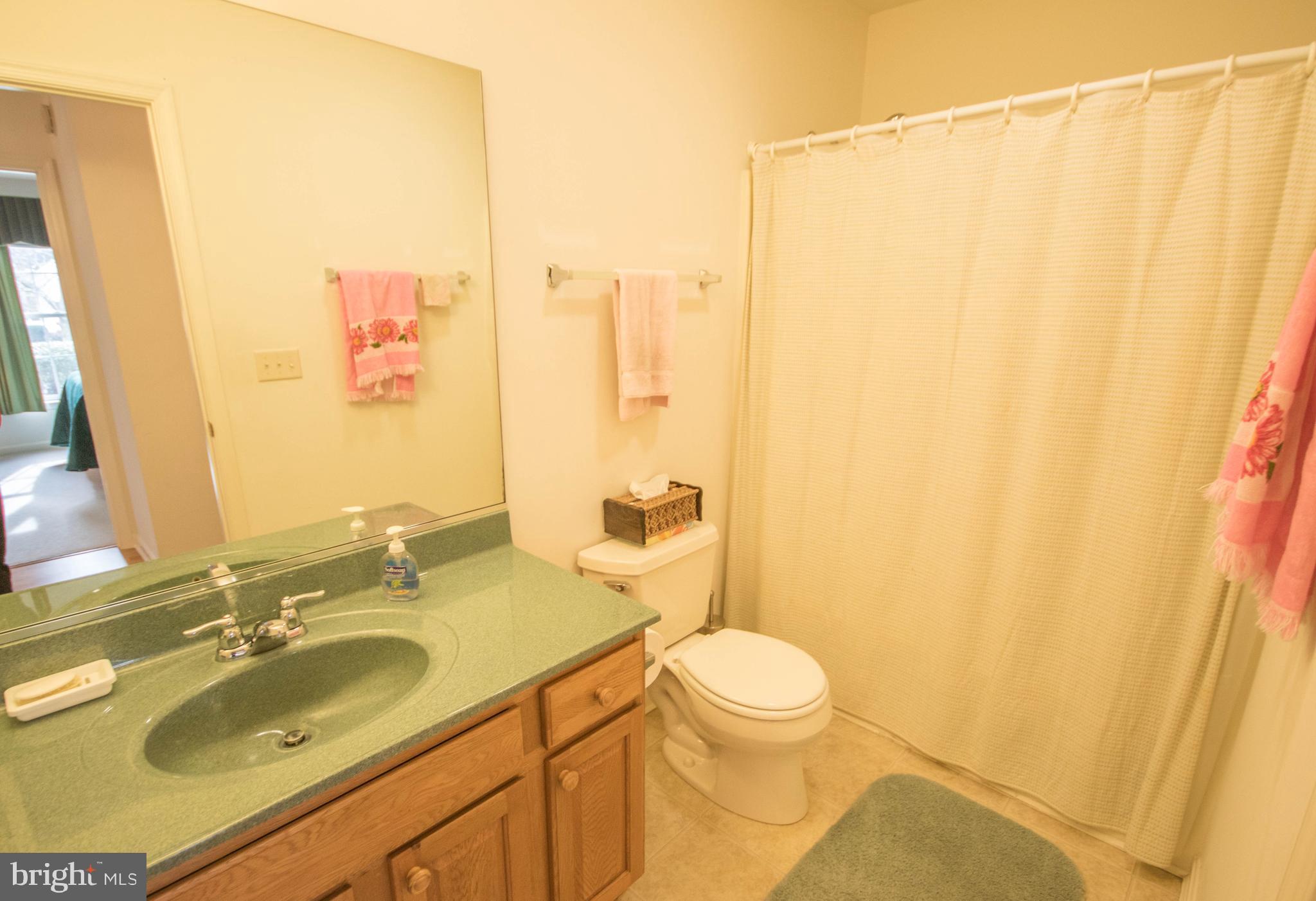 6087 Tarry Town Road Salisbury, MD 21801 - Photo 31 of 56 Bathroom 2