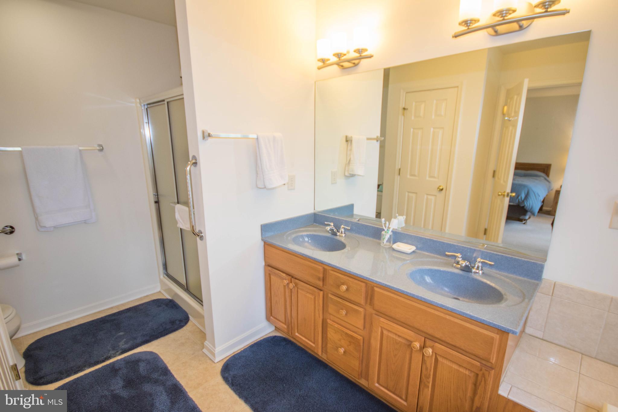 6087 Tarry Town Road Salisbury, MD 21801 - Photo 40 of 56 Master Bathroom