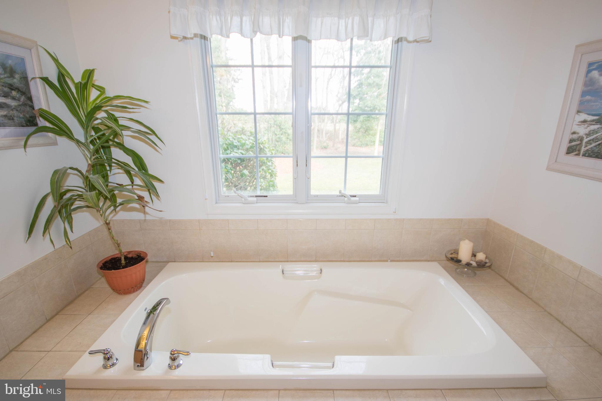 6087 Tarry Town Road Salisbury, MD 21801 - Photo 41 of 56 Master Bathroom