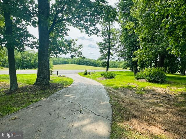11732 Warner Road Keymar, MD 21757 - Photo 4 of 59 a view of a park with large trees