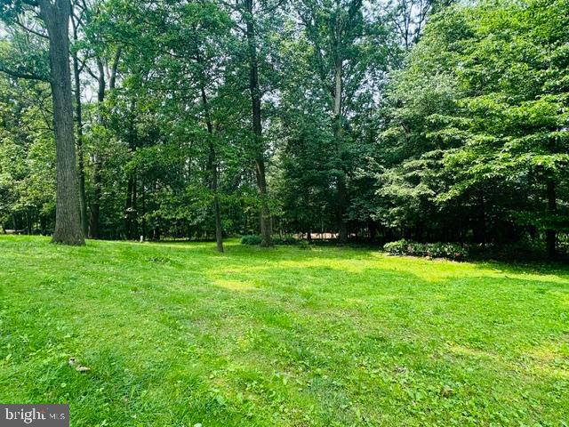 11732 Warner Road Keymar, MD 21757 - Photo 46 of 59 a view of outdoor space with a garden