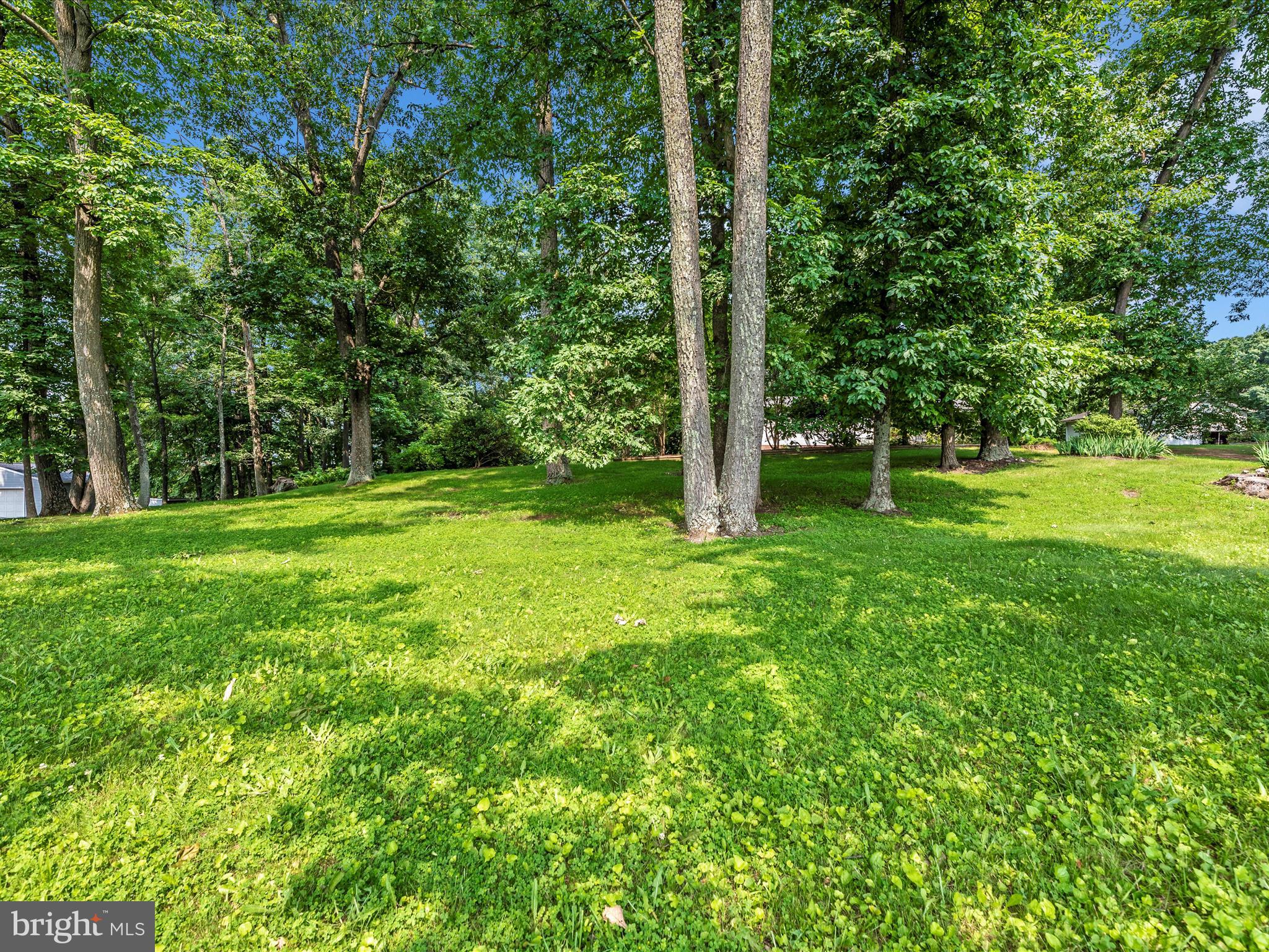11732 Warner Road Keymar, MD 21757 - Photo 51 of 59 a view of a grassy field with trees