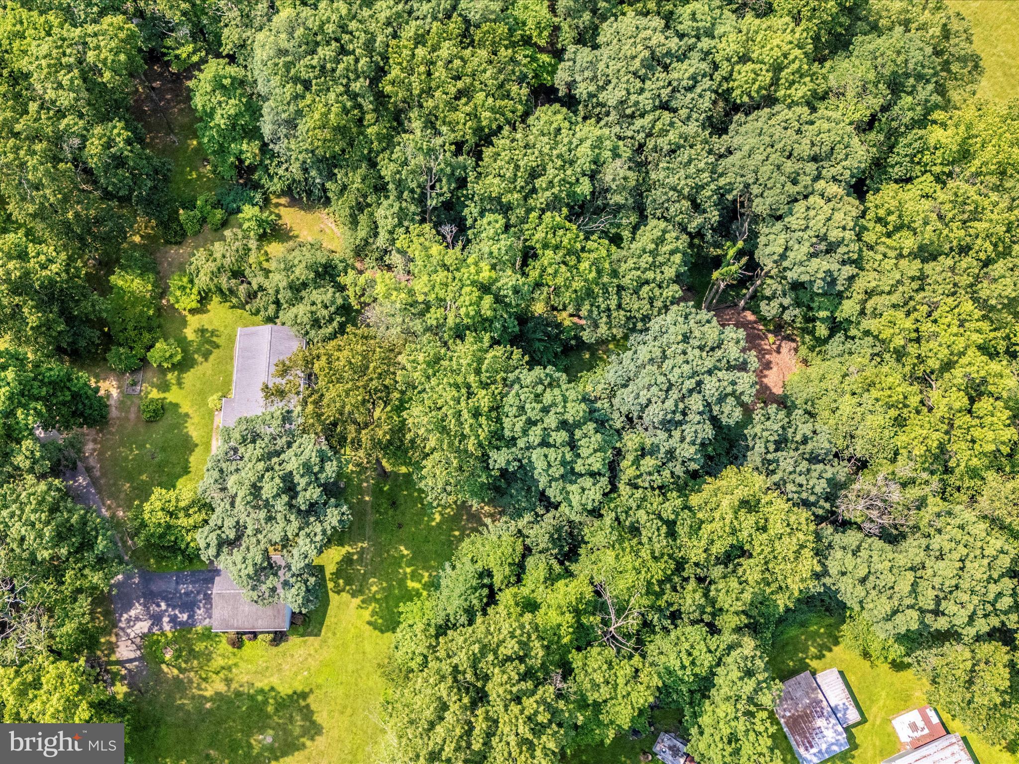 11732 Warner Road Keymar, MD 21757 - Photo 58 of 59 a view of a tree with lots of bushes