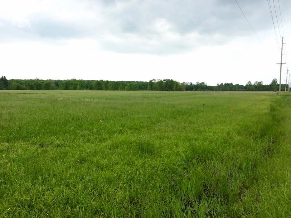 40-ac County Rd C Vesper, WI 54489 - Photo 1 of 1