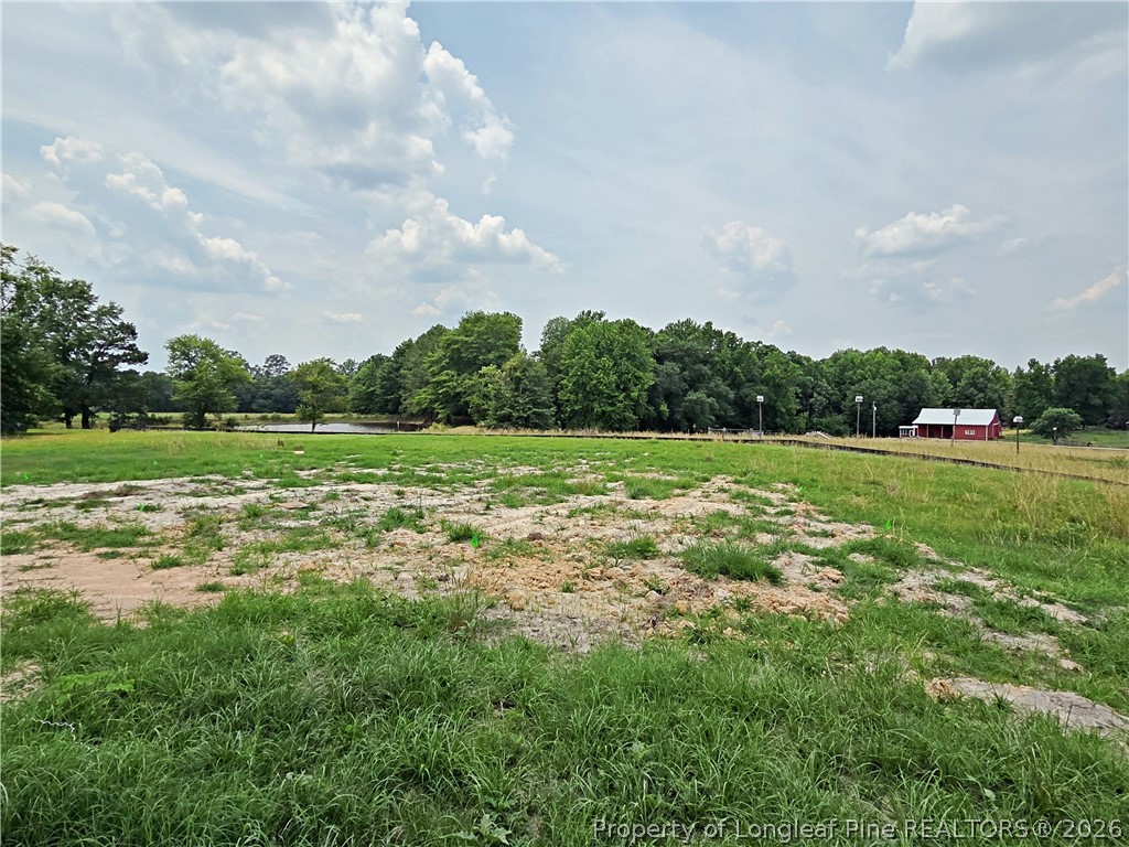 2650 Norrington Road Lillington, NC 27546 - Photo 24 of 24 a view of a green field with wooden fence