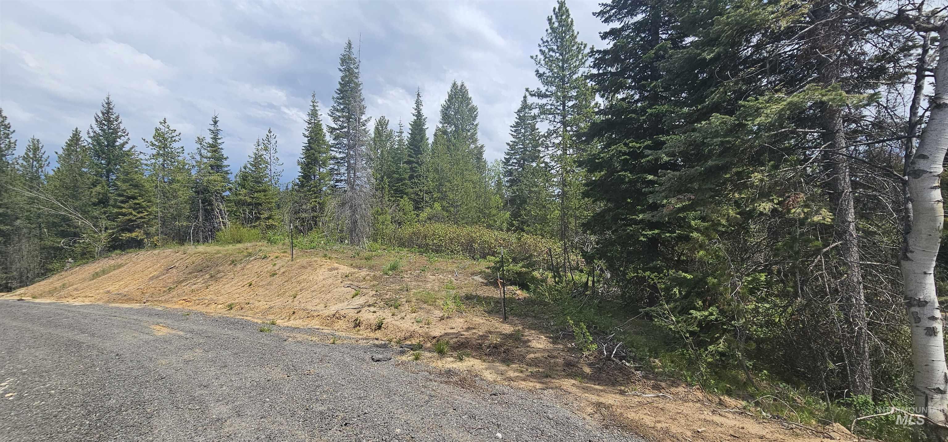 23 Sawtooth Loop Cascade, ID 83611 - Photo 23 of 45