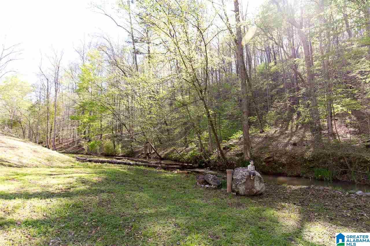 8751 Clayton Cove Road Springville, AL 35146 - Photo 4 of 44