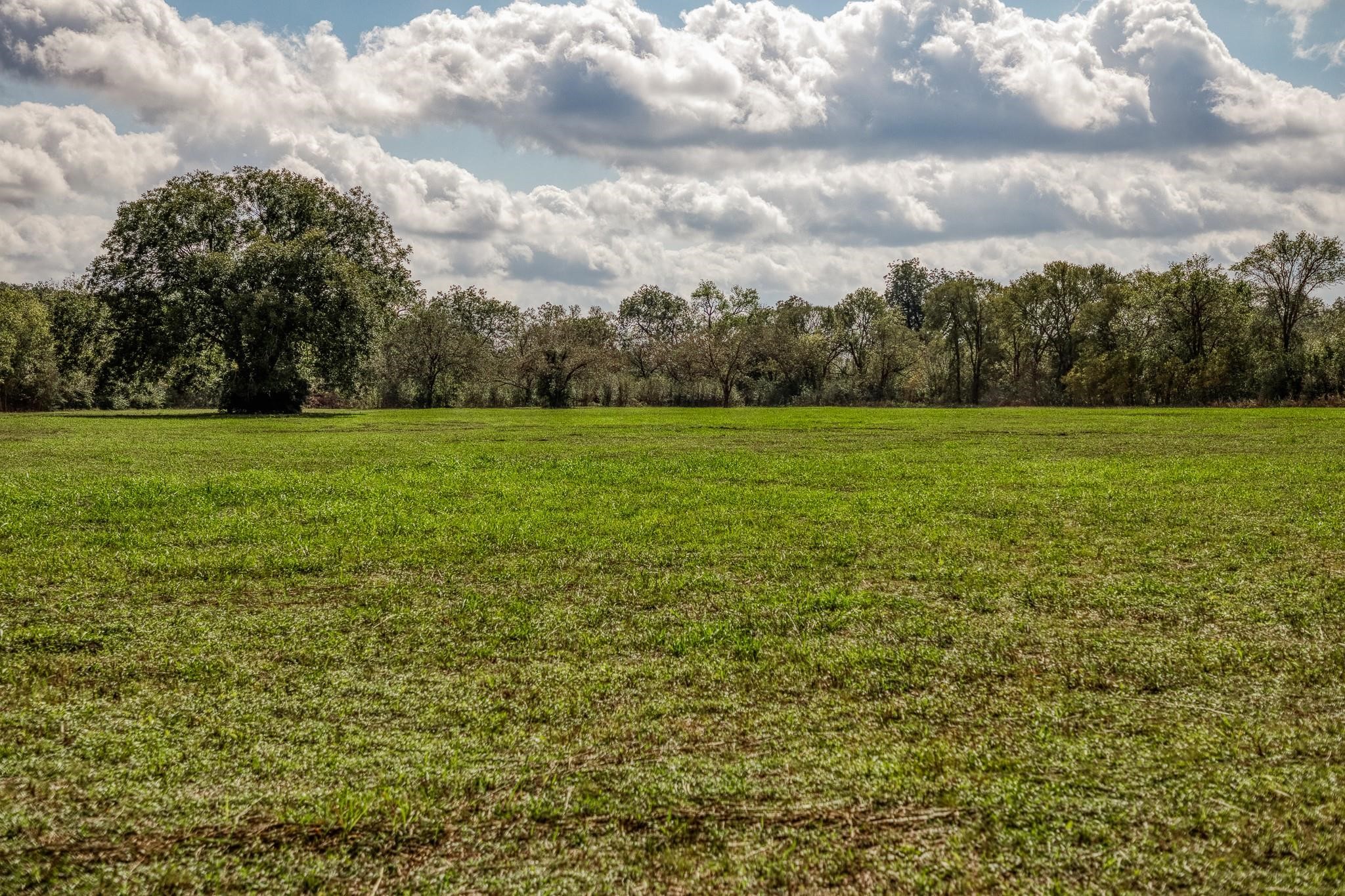 0 Sun Oil Road Brenham, TX 77833 - Photo 6 of 26 a view of field with trees in the background