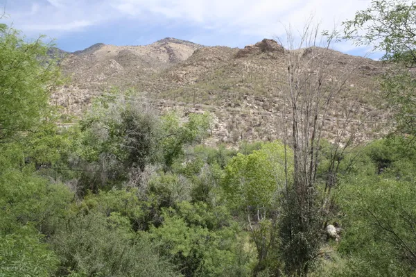 $2,000 | 6655 North Canyon Crest Drive, Unit 23201, Tucson, AZ 85750