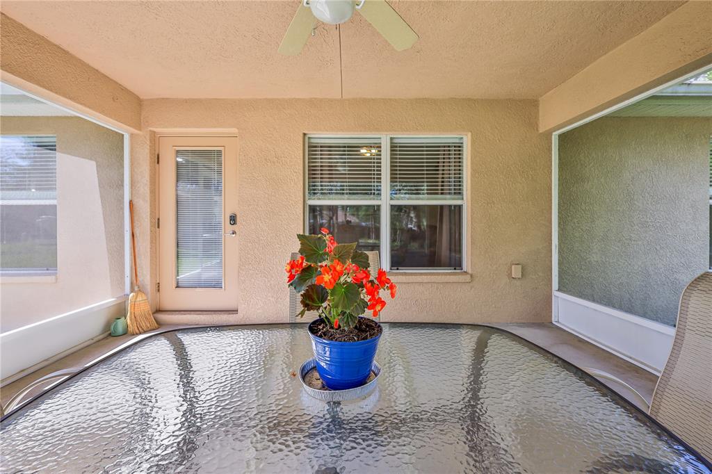 11213 Flock Avenue Weeki Wachee, FL 34613 - Photo 37 of 46 a dining room with wooden floor and a potted plant