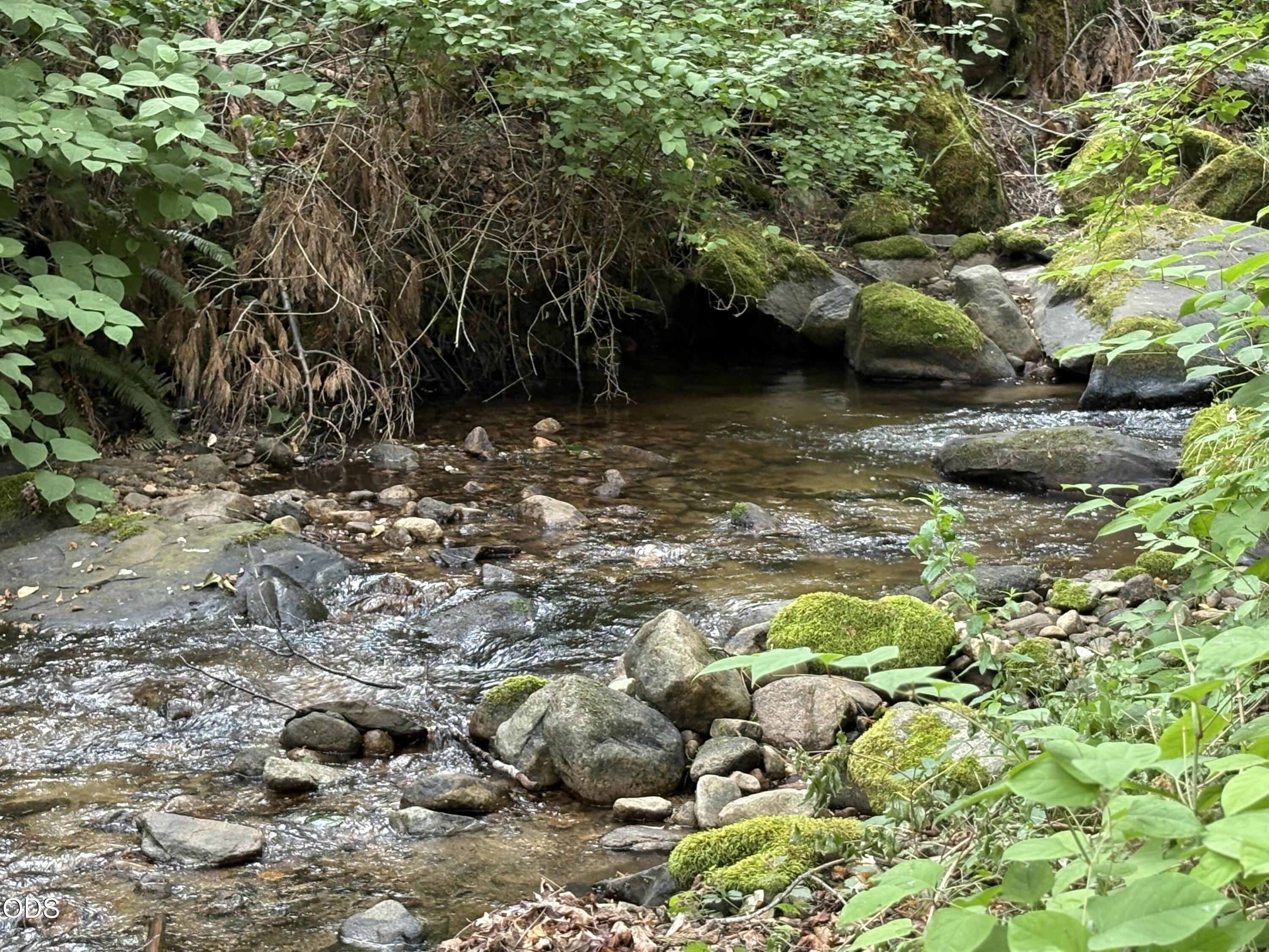 1600 Neil Creek Road Ashland, OR 97520 - Photo 4 of 9