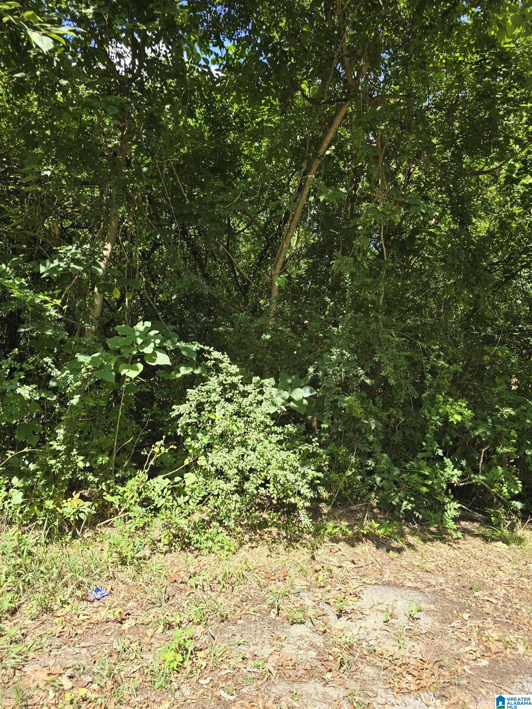 1 County Road 759, Unit 1 Clanton, AL 35046 - Photo 1 of 1