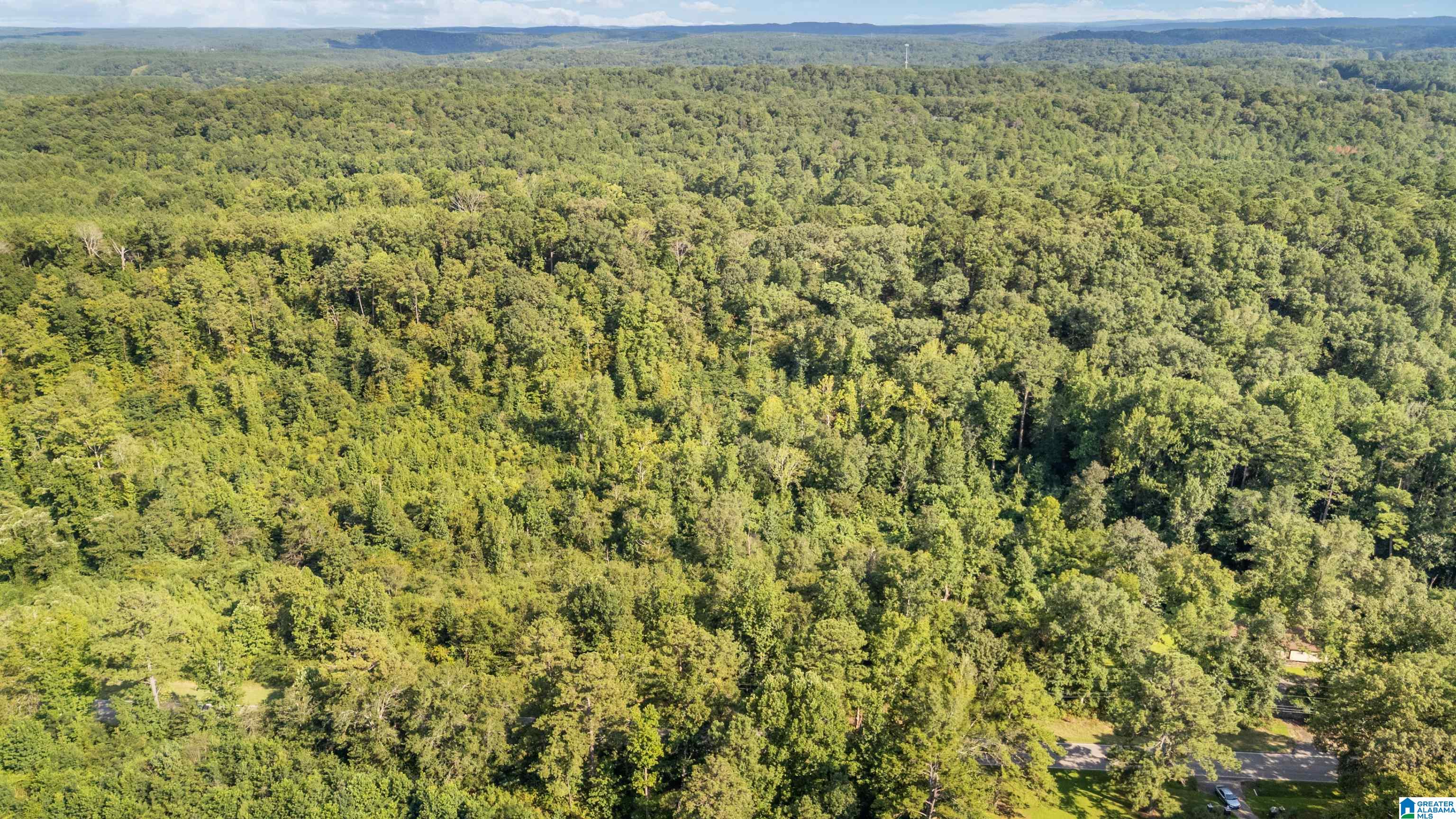 0 Warrior Jasper Road, Unit 23 AC Dora, AL 35062 - Photo 17 of 18