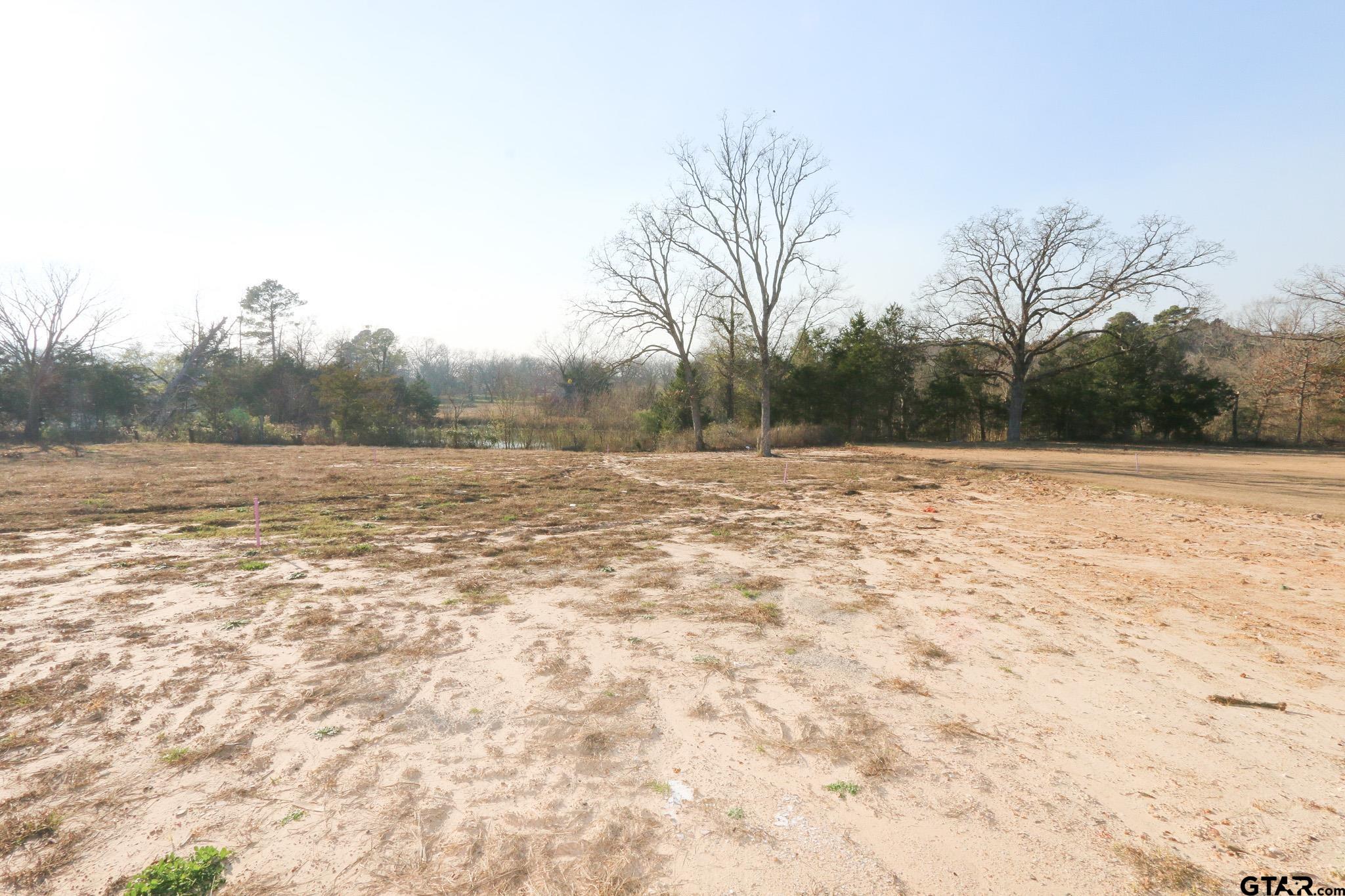 16503 Cooper Way Flint, TX 75762 - Photo 32 of 33 a view of outdoor space with swimming pool and trees in the background