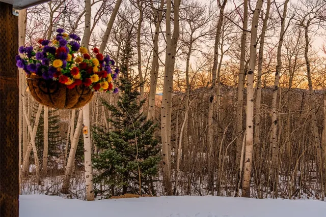 a view of an outdoor space with mountain view