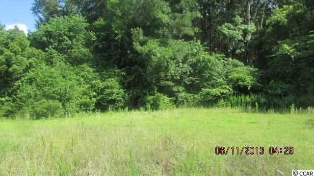 2888 Timrod Road Conway, SC 29527 - Photo 13 of 15
