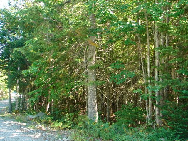38 High Head Road East Machias, ME 04630 - Photo 1 of 5 Photo