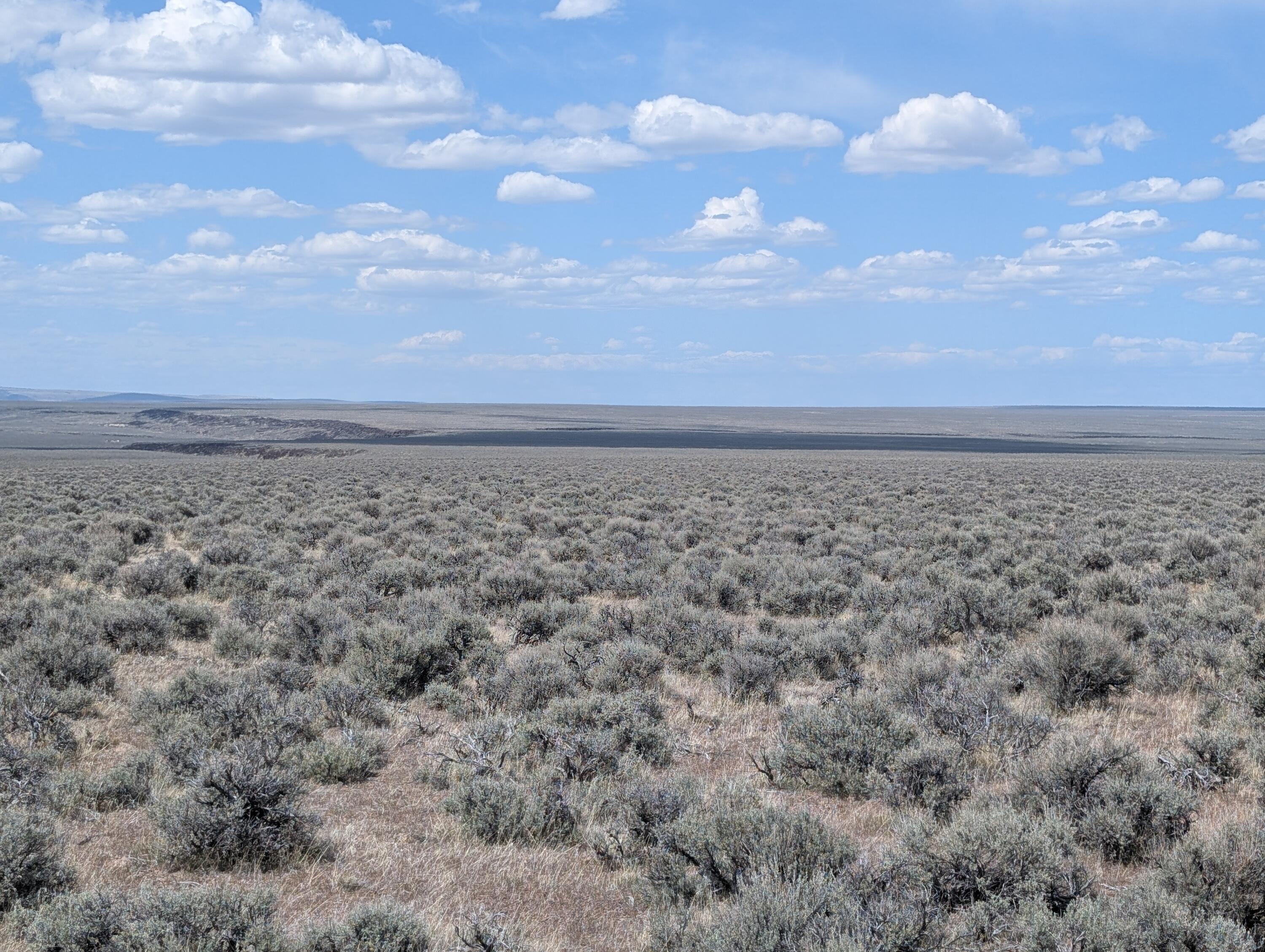 Black Canyon Road Adel, OR 97620 - Photo 3 of 10 03 (2)